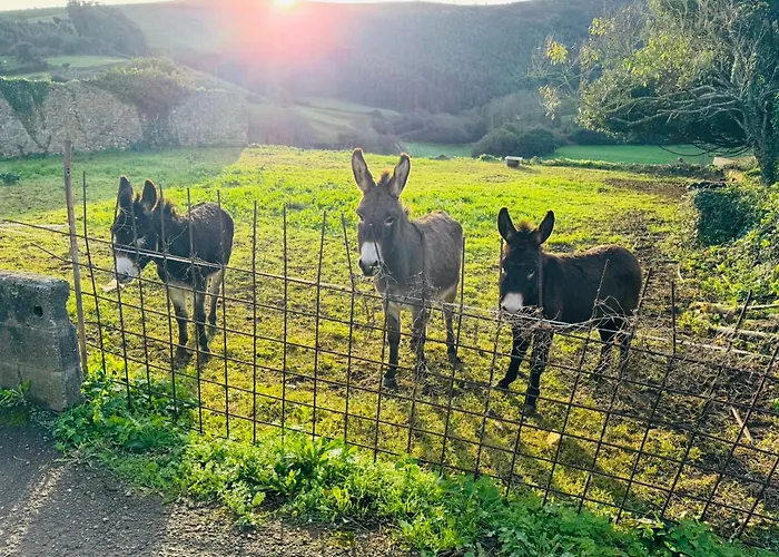 Hébergement de vacances La Casuca De La Iglesia Ubiarco