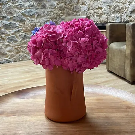 La Casuca De La Iglesia Ubiarco